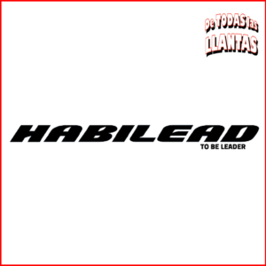 Logo de Habilead